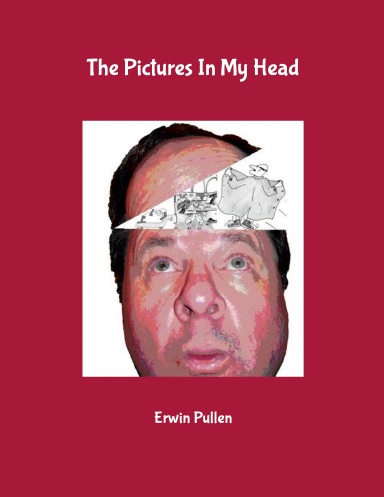 The Pictures In My Head