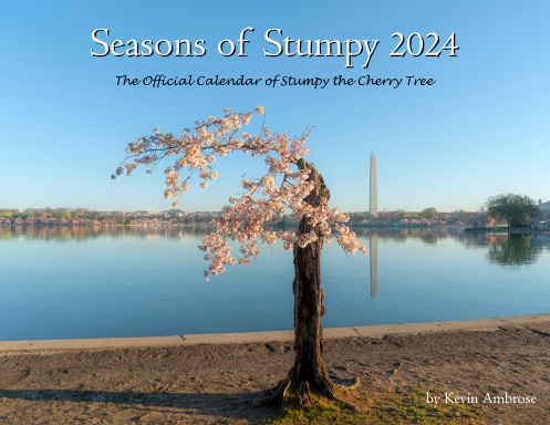 Seasons of Stumpy 2024
