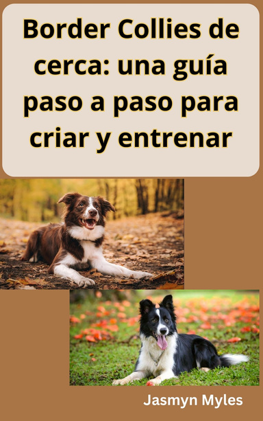 Border Collies de cerca: una guía paso a paso para criar y entrenar