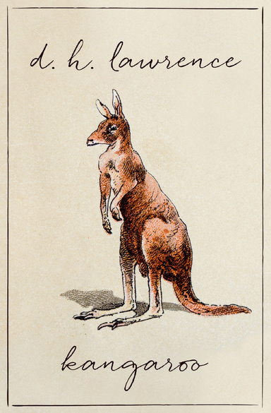 Kangaroo Illustrated