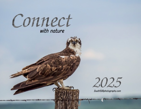 Connect with Nature