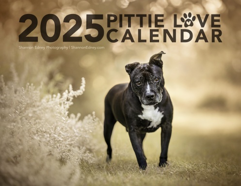 Pittie Love 2025 Calendar