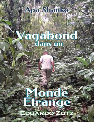 Vagabond dans un Monde Etrange