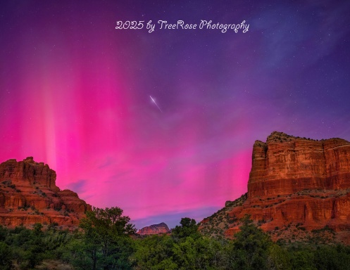 2025 by TreeRose Photography