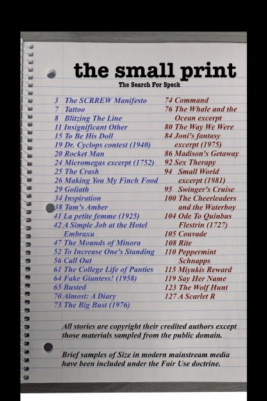 the small print 3