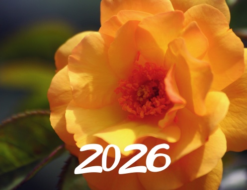 Kalender 2026