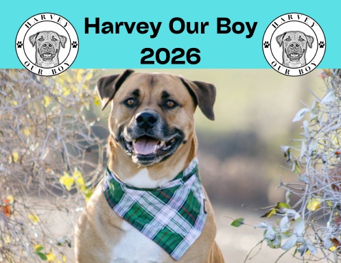 2026 Harvey Our Boy