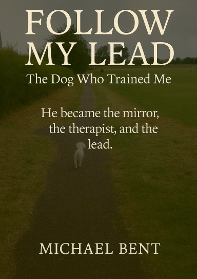 Follow My lead