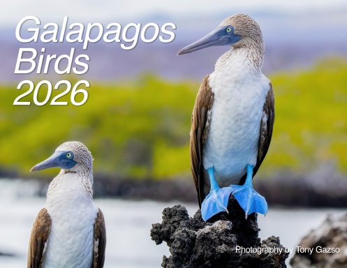 Galapagos Birds 2026