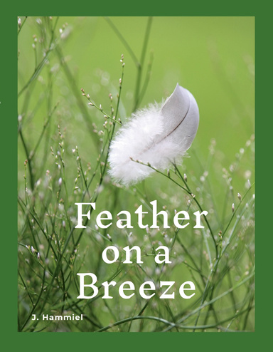 Feather on a Breeze