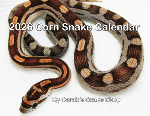 2026 Corn Snake Calendar