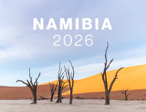 2026 Calendar