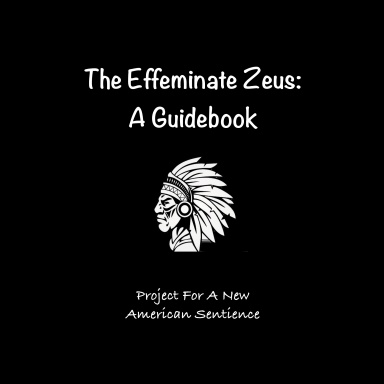 The Effeminate Zeus: A Guidebook