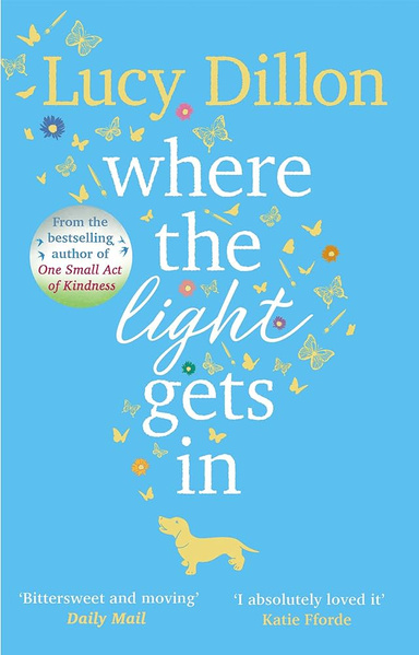 Where The light Gets in   by Lucy Dillon