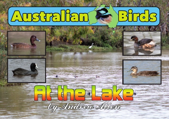 Australian Birds: At the Lake