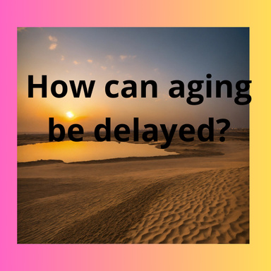 How can aging be delayed?