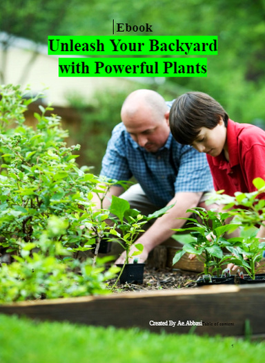 The Medicinal Garden Kit For Your Backyard