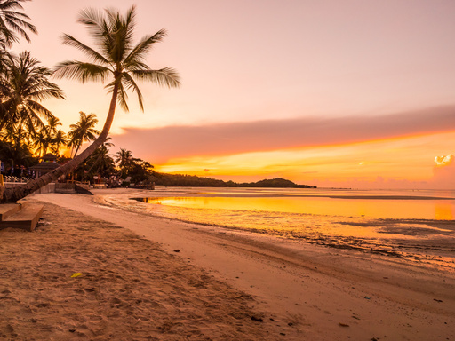 Goa: Where Sun Meets Sea in Serene Harmony.