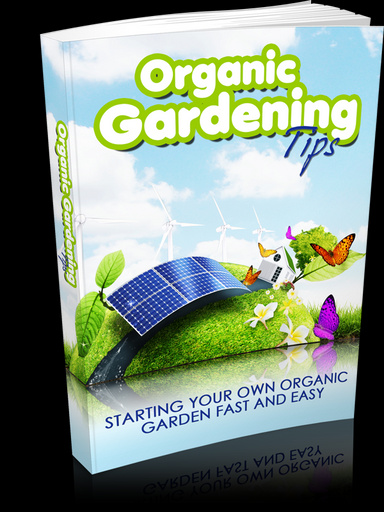 The 10 Medicinal Plants You'll Have in Your Backyard