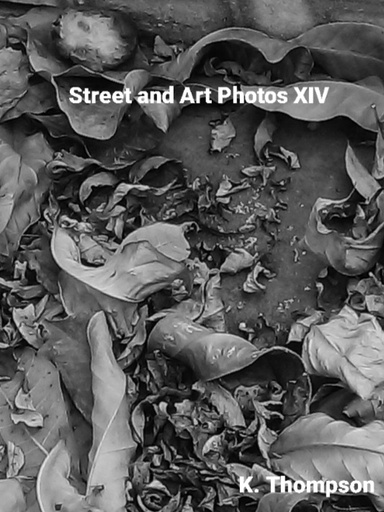 Street and Art Photos XIV