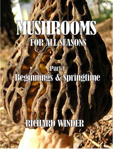 Mushrooms For All Seasons: Part 1 Beginnings & Springtime