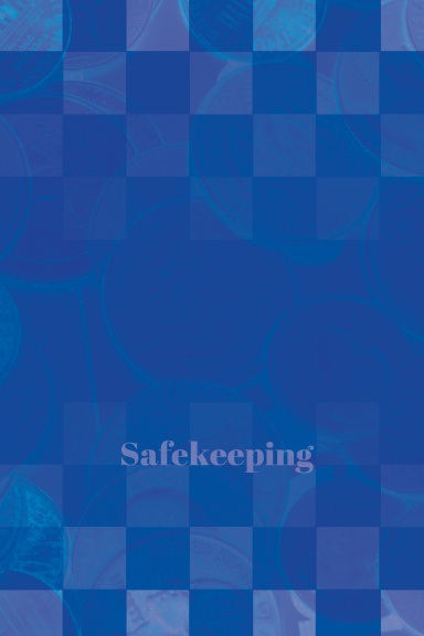 Safekeeping Password Organizer