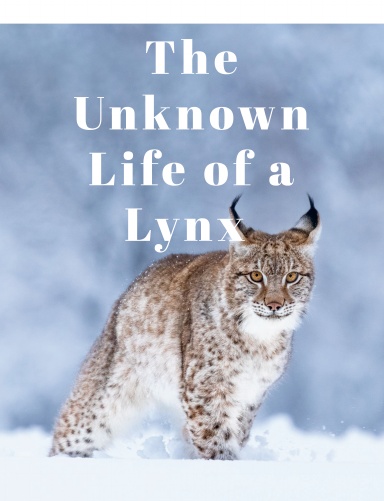The Unknown Life of a Lynx