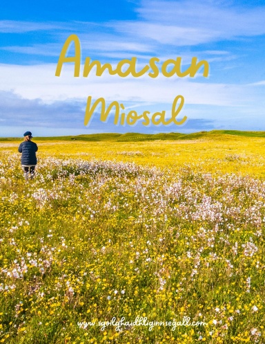 Amasan Mìosal - Monthly Goals Planner