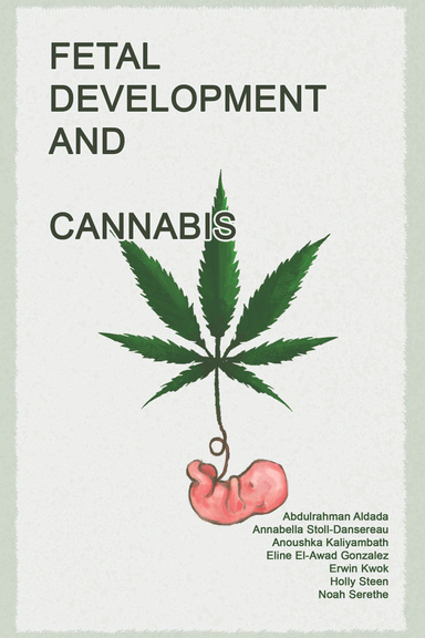Fetal Development and Cannabis