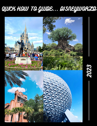 Quick How to Guide… DisneyWorld