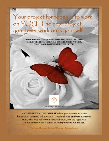 Your Project for Today is to Work on YOU! The Best Project You'll Ever Work on is Yourself! A COMPREHENSIVE COURSE to Cultivate a Renewed Mind, True Self-Care, and Setting Healthy Boundaries by Tracy Diamond Denson / CoachingDiamonds.com