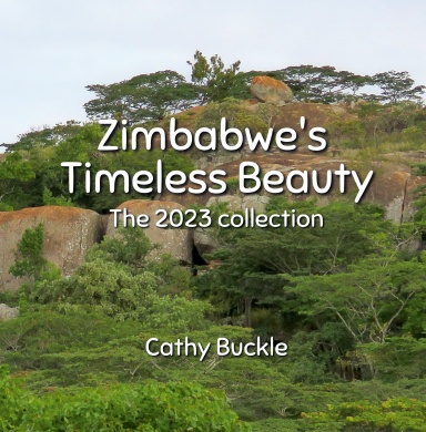 Zimbabwe's Timeless Beauty: The 2023 Collection (HARDBACK)