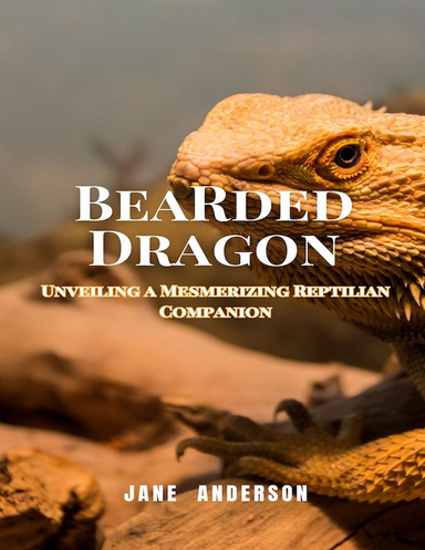 Bearded Dragon