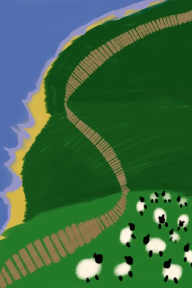 Sheep Cliff Notebook