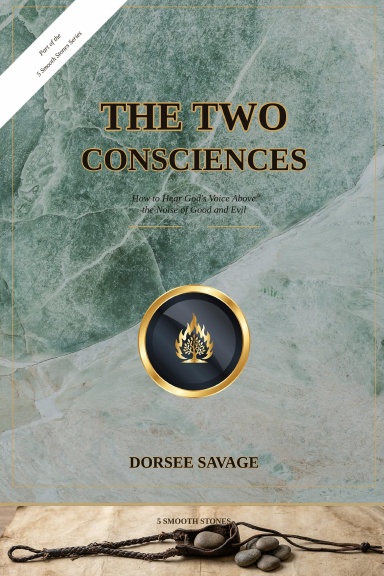 The Two Consciences