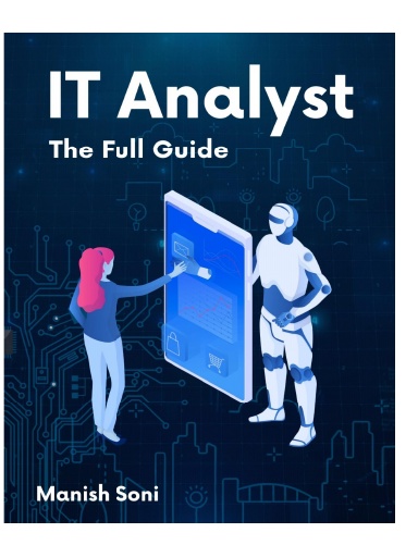 IT Analyst Internship