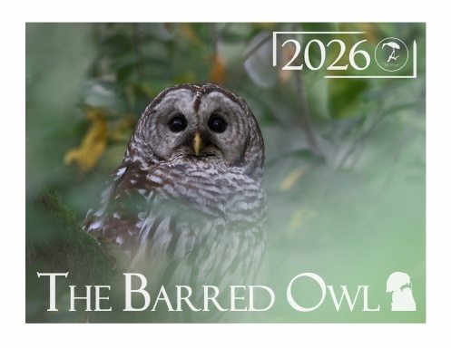The Barred Owl: 2026