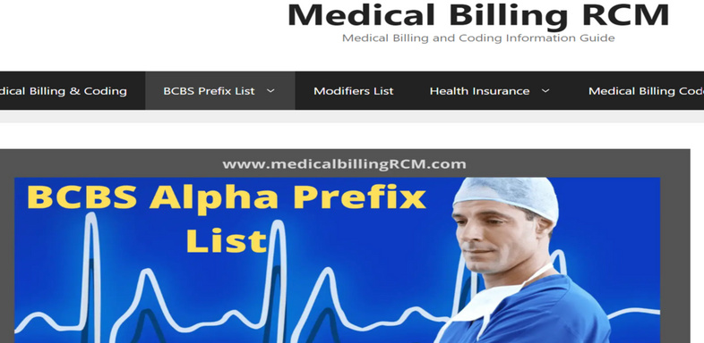 The Significance of BCBS Prefix Lookup in Healthcare