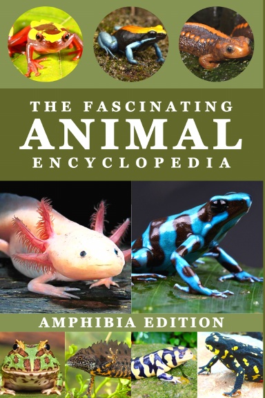 The Fascinating Animal Encyclopedia | Amphibia Edition