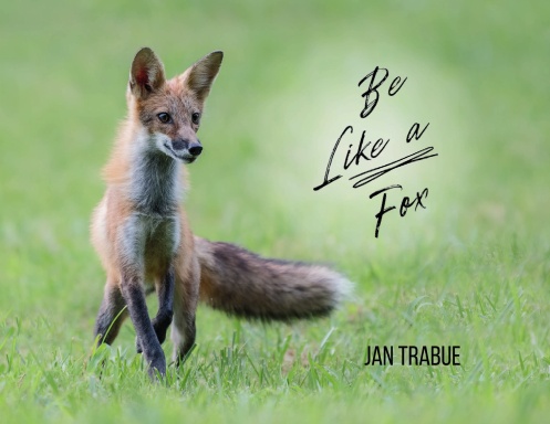 Be Like a Fox