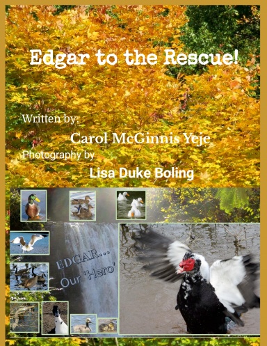 Edgar to the rescue !