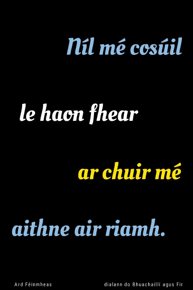 Níl mé cosúil le haon fhear ar chuir mé aithne air riamh.