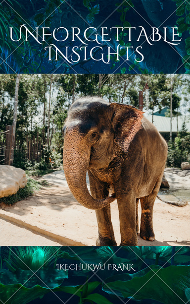 UNFORGETTABLE INSIGHTS