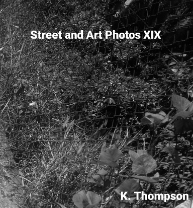 Street and Art Photos XIX