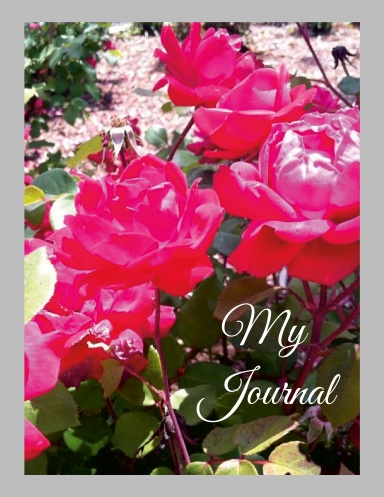 Daily Journal
