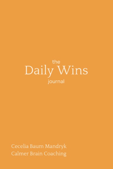 the Daily Wins Journal