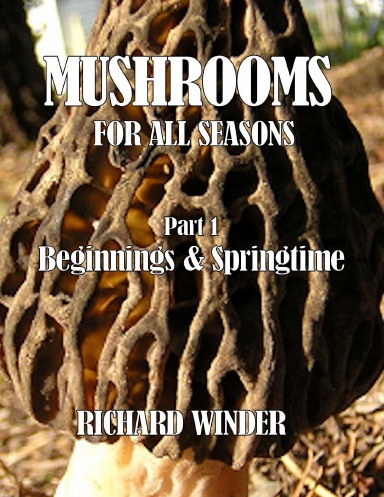 Mushrooms For All Seasons: Part 1 Beginnings & Springtime