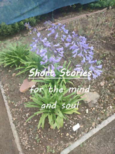 Short Stories for the Mind and Soul