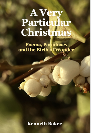 A Very Particular Christmas