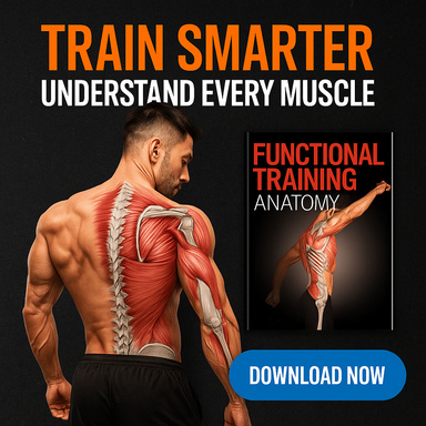Functional Training Anatomy